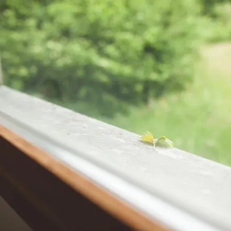 Hotel Domaine De La Sauge 3*