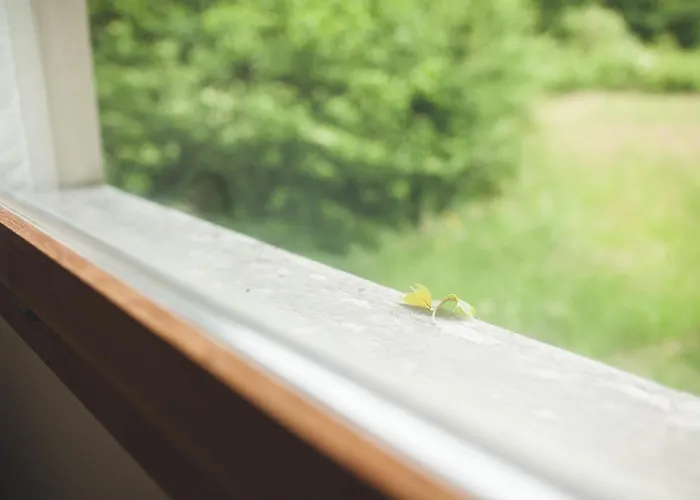 Ξενοδοχείο Domaine De La Sauge 3*