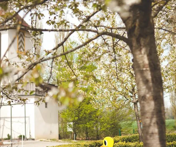 Domaine De La Sauge 3* Cudrefin