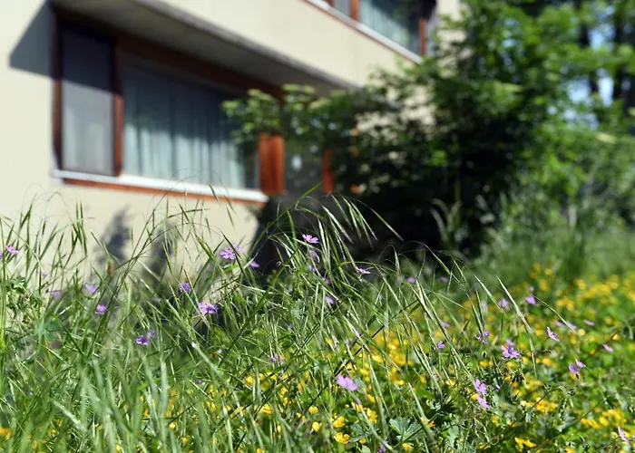 Domaine De La Sauge 3*