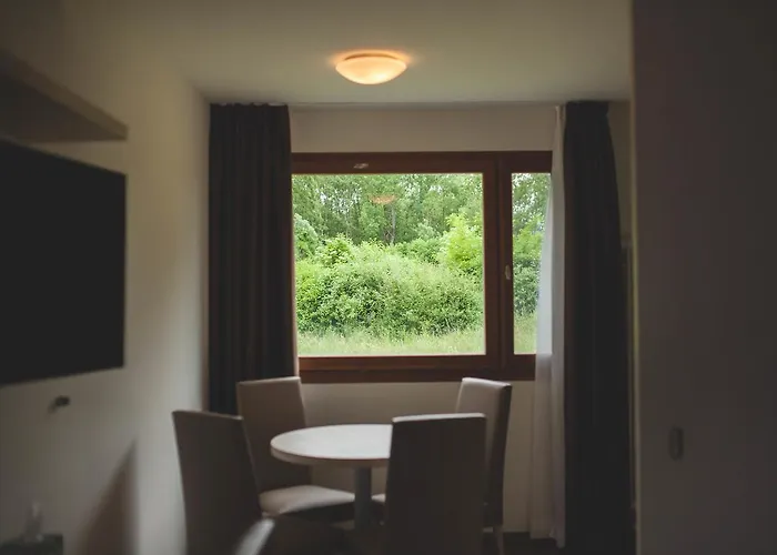 Отель Domaine De La Sauge 3*