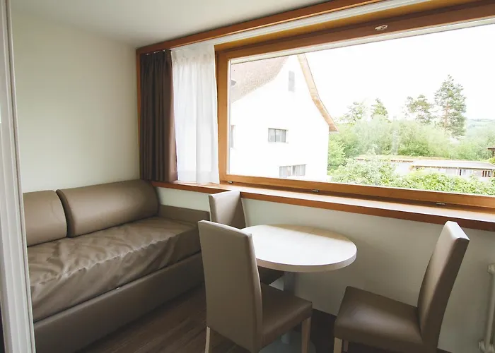 Отель Domaine De La Sauge 3*